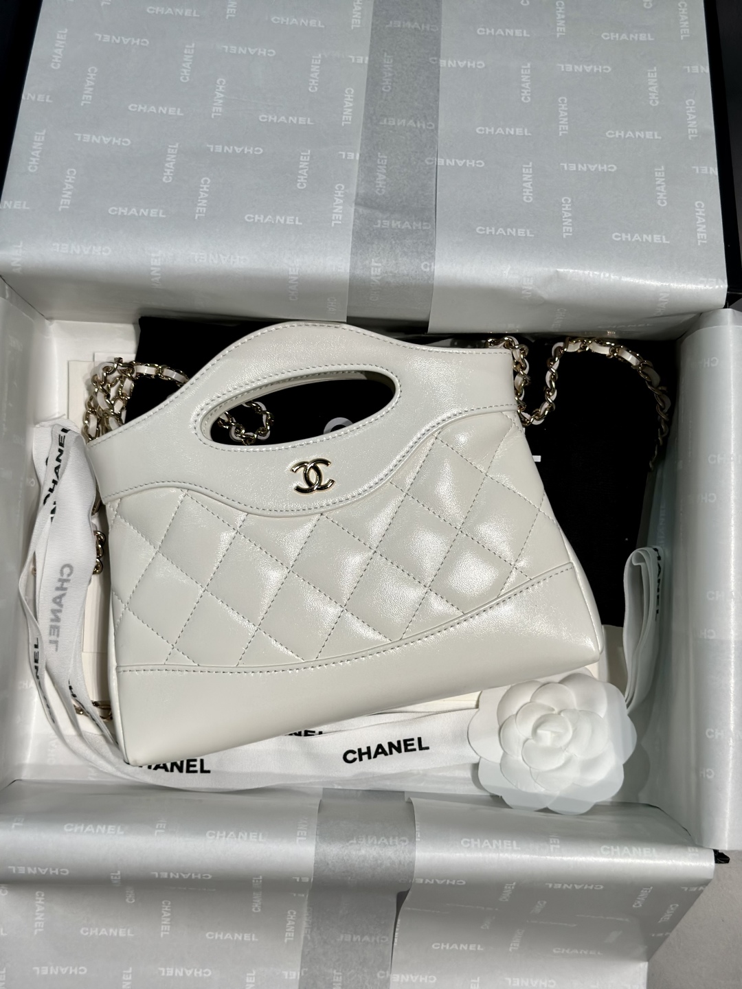 Chanel nano 31 белая